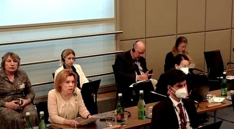 Presentation of the results of the assessment of the problems of observing the rights of persons with disabilities in Ukraine during the OSCE meeting in Vienna.