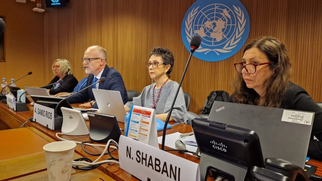 Fight For Right разом з партнерами - Validity Foundation – Mental Disability Advocacy Centre International Disability Rights International (DRI) Disability Rights International – Ukraine