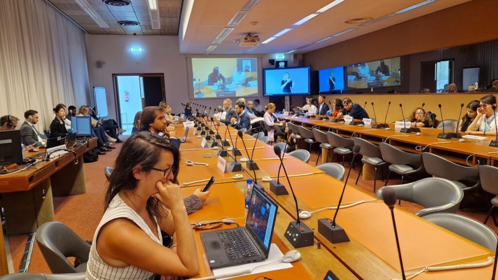 ВІДБУДОВА УКРАЇНИ: Зусилля гуманітарних донорів мають забезпечувати інклюзію, а не інституції для людей з інвалідністю